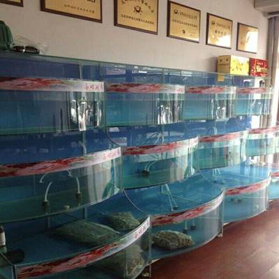 东莞黄江海鲜缸定制及养殖技术指南