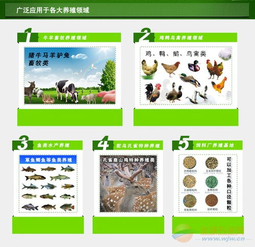 养殖场专用饲料颗粒机与鱼类养殖技术应用指南