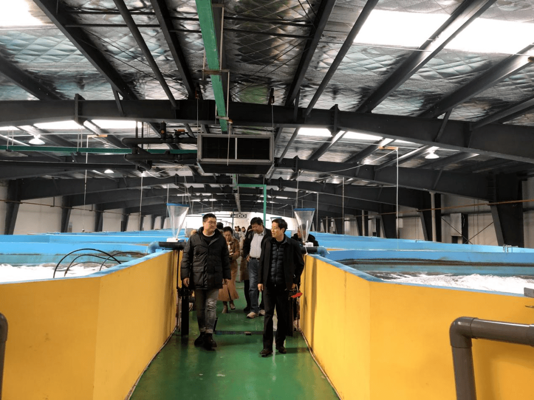 聚焦武汉优质虾苗供应，推动内陆工厂化养殖产业升级与渔业技术革新