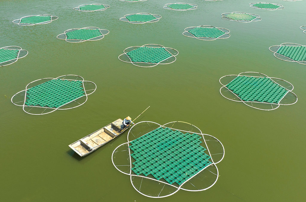 安徽省来安县家得乐百货超市销售不合格食品被罚款9964元