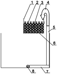 从源头到净化 工厂化水产养殖废水简易处理技术与水质改良剂研发探索